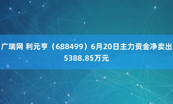 广瑞网 利元亨（688499）6月20日主力资金净卖出5388.85万元