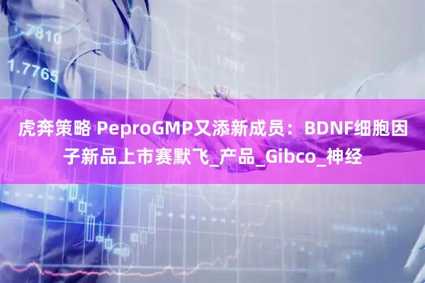 虎奔策略 PeproGMP又添新成员：BDNF细胞因子新品上市赛默飞_产品_Gibco_神经